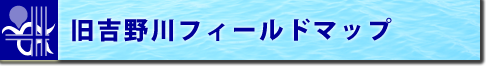 フィールドマップ